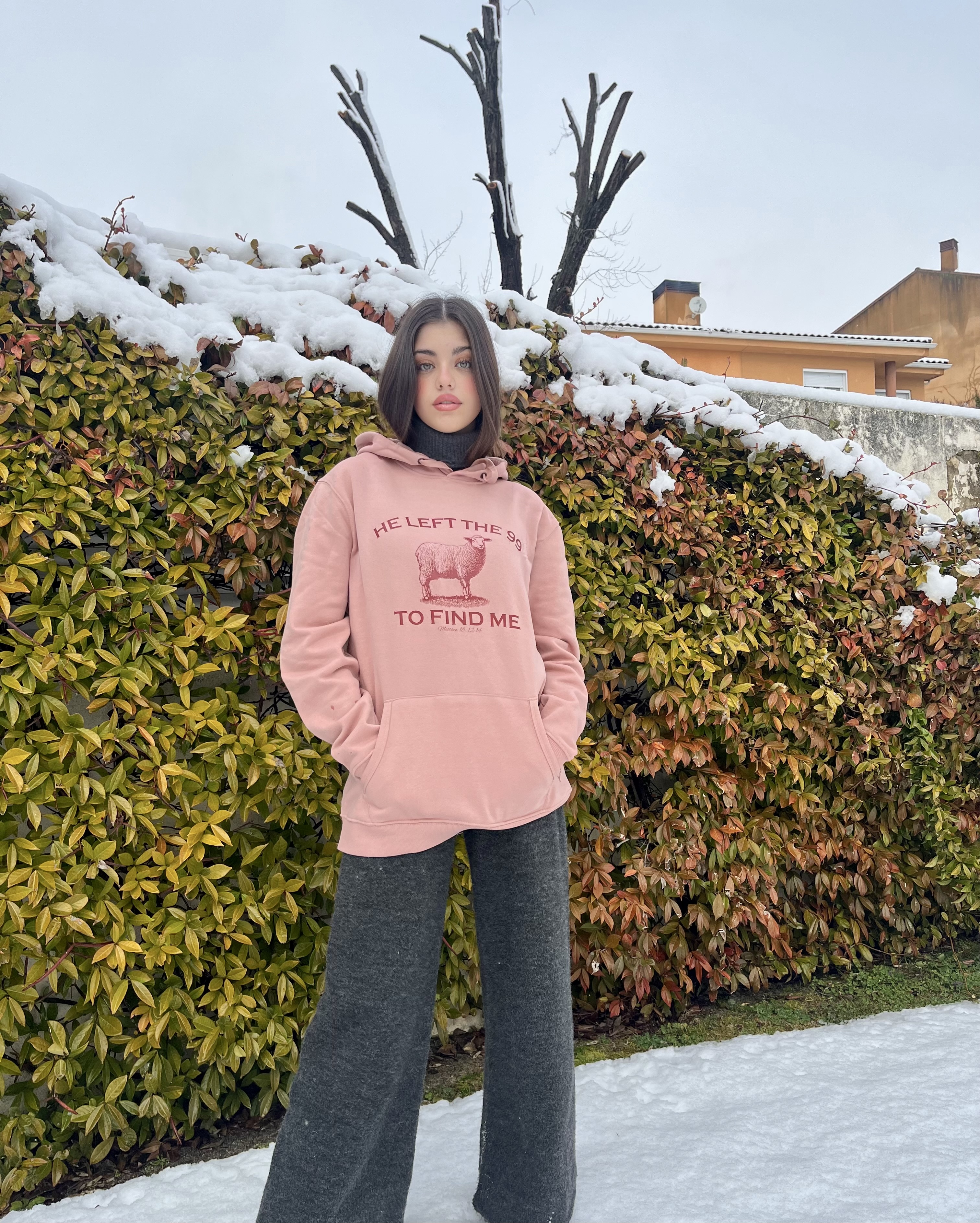 Sudadera Sheep 2